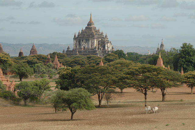 bagan004