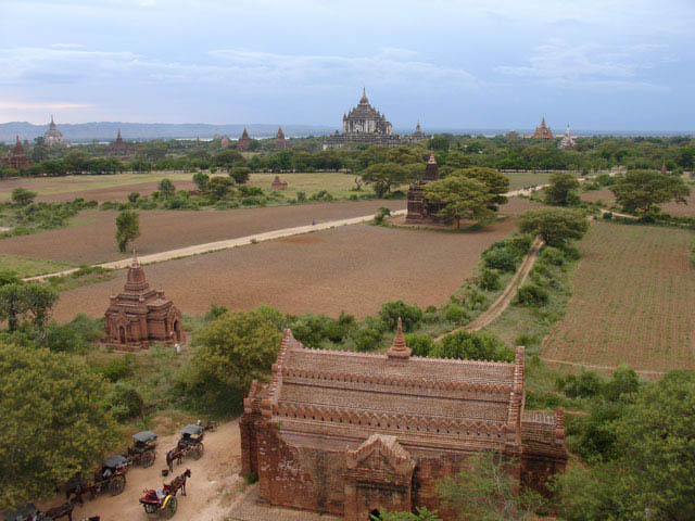 bagan019