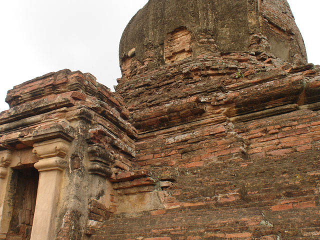 bagan228