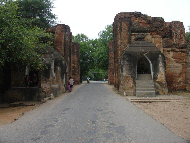 bagan231