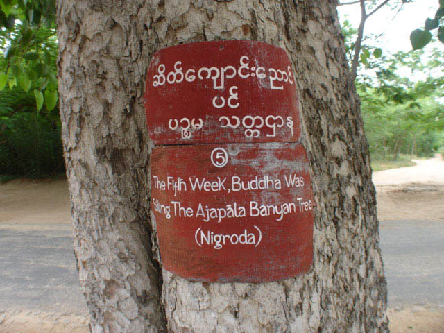 bagan255