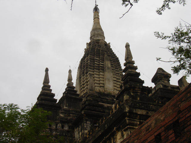 bagan291