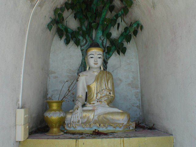 bagan339